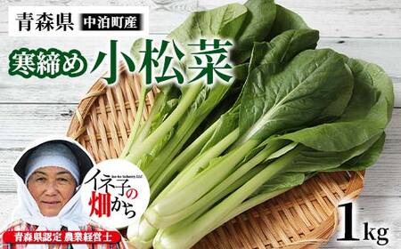 寒締め小松菜 約1kg 【イネ子の畑から】 新鮮 産地直送 サラダ おひたし おみそしる 旬 野菜 やさい こまつな  F6N-283