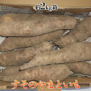 【ふるさと納税】すそのやまといも　約2kg　野菜・やまといも・約2kg・スタミナ野菜　お届け：2024年12月中旬～12月下旬