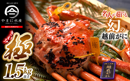 【11月発送】【先行予約】特大 越前がに《極》（1.5kg以上）名人が茹でる やまに仕込み [W-4301]