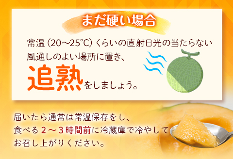 【先行予約】期間限定 数量限定 宮崎産 アールスメロン <赤肉> 1ケース(4～5玉)