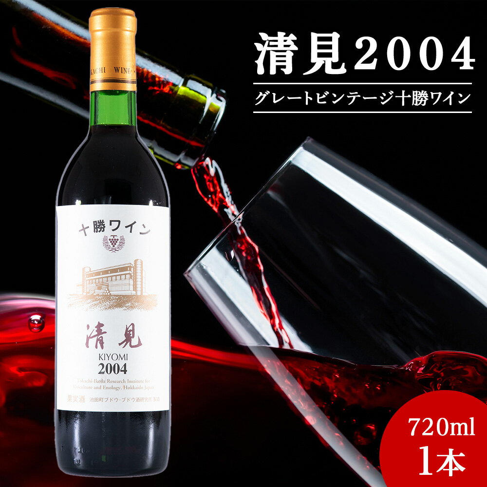 【ふるさと納税】十勝ワイン 清見（キヨミ）2004 準ビンテージ 720ml 北海道池田町 ビンテージ 赤ワイン 数量限定 送料無料 ヴィンテージ