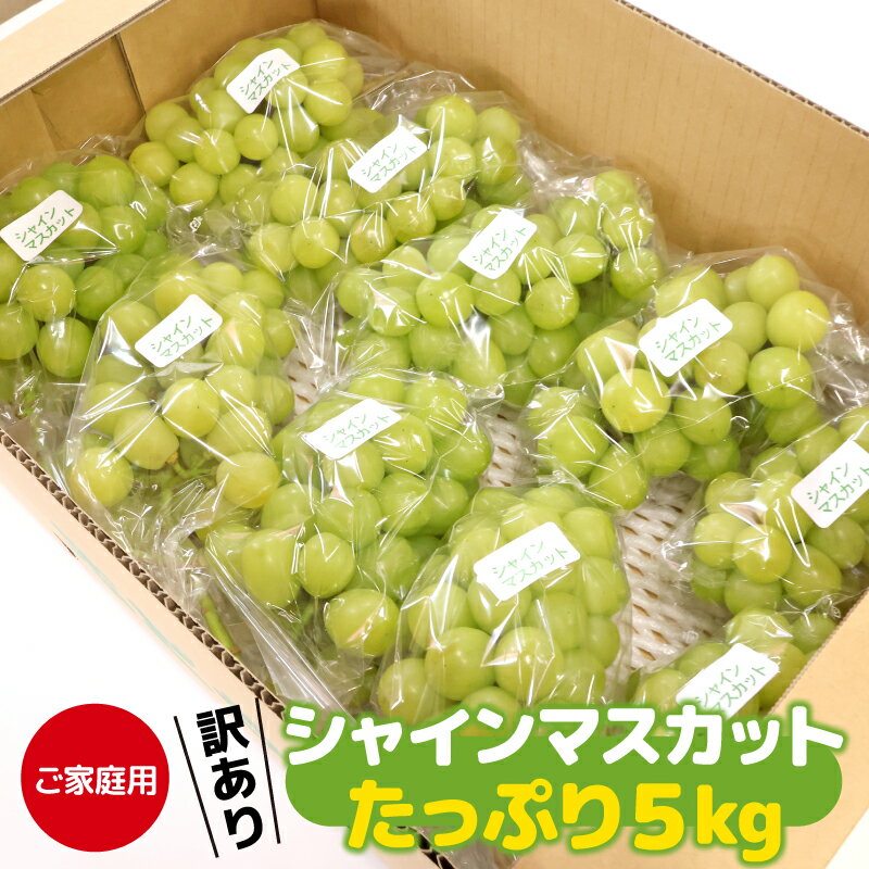 【ふるさと納税】【先行予約】 《ご家庭用》令和8年産 訳ありシャインマスカット たっぷり5kg （8〜12房）山形県産 2026年産 【2026年9月上旬頃〜10月中旬頃発送予定】※配送不可 沖縄・離島果物 ぶどう 葡萄 フルーツ ブドウ 種なし 産地直送 国産 ふるさと納税