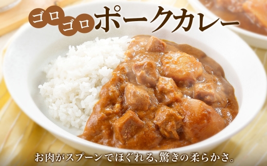 3445. おためし 弟子屈 ポークカレー 1個 中辛 じゃがいも ポーク 豚 お試し レトルトカレー 保存食 備蓄 北海道 弟子屈町