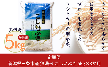 定期便5kg×3カ月 無洗米こしいぶき 計15kg 新潟県 三条市産 令和7年産 外山敏雄商店