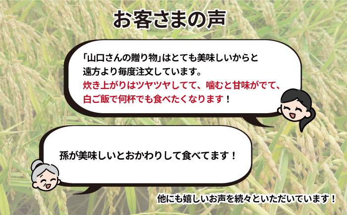 【先行予約】【令和7年度産新米】特別栽培米 早場米 コシヒカリ 10kg（10kg×1） 山口さんちの贈り物 【y'scompany】 白米 [IAS002]