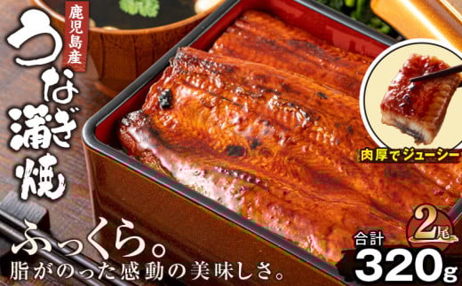 1688-3 鹿児島産うなぎ160g×2尾 合計320g