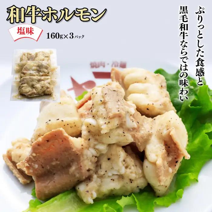 和牛ホルモン 塩味 3パック 肉 牛肉 和牛 ホルモン 塩 冷凍 焼肉 BBQ アウトドア バーベキュー C0612 岩手県 北上市 ヤマトフードサービス