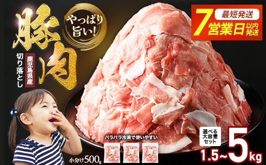
                  小分け＆パラパラで使い勝手抜群！旨い♪ 安心の鹿児島県産 訳あり 小間切れ 冷凍 ふるさと納税 豚肉 小分け 真空パック 切り落とし ふるさと 人気 ランキング 【スターゼン】starzen-1639-oya
                