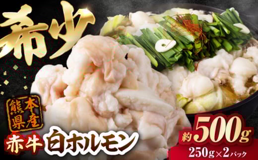 赤牛 ホルモン 500g（250g×2パック） / お肉 肉 牛肉 あか牛 小腸 シロホルモン もつ 熊本県産 冷凍【五右衛門フーズ熊本店】 [AYBV040]