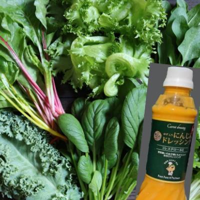 ふるさと納税 吹田市 ココワークの水耕栽培野菜(約1kg)ゆず人参ドレッシング付　《栽培期間中 農薬不使用》