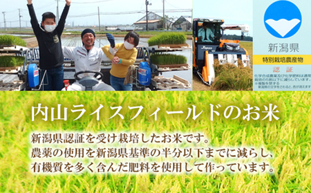 令和7年度産 新潟県認証特別栽培米 コシヒカリ10kg お米 白米 ライス 精米 ご飯 新潟県産 新潟市産 おにぎり お弁当 和食 ブランド米 お米の王様 もっちり 粘り 強い 甘み 旨み 
