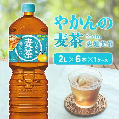 ふるさと納税 えびの市 やかんの麦茶 from 爽健美茶 PET 2L×6本(1ケース) ノンカフェイン(えびの市)