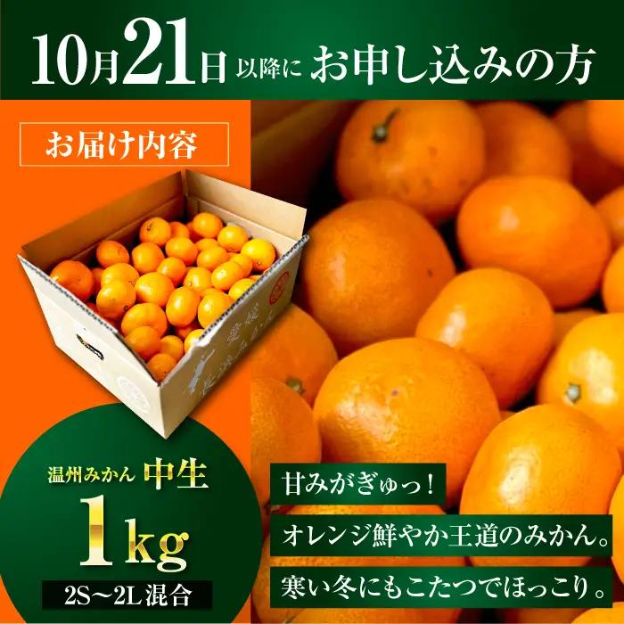 みかん【10月中旬から順次発送】温州みかん 1kg （2Sから2L混合サイズ）酸味さわやか愛媛じるし！ 温州みかん 愛媛 みかん 果物 くだもの フルーツ 柑橘 愛媛県大洲市/玉川農園[AGBC019
