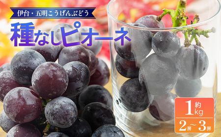 ぶどう 種なし ピオーネ 約1kg | ぶどうぶどうぶどうぶどうぶどう【VEG0049】