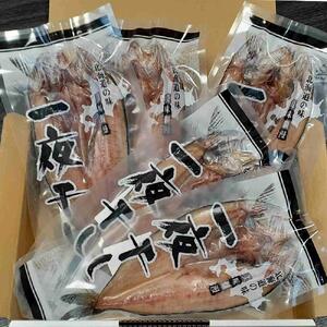 杉澤水産　真ほっけ旭川一夜干し（計5枚） | ほっけ_03371