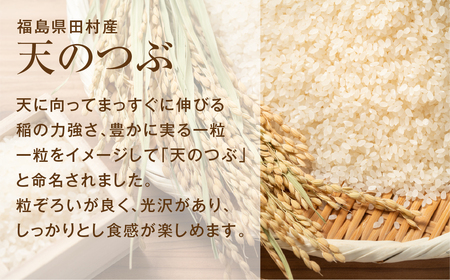 【令和5年産】定期便3回 田村産 天のつぶ10kg お米 福島県 田村市 田村 贈答 美味しい 米 kome コメご飯  特Aランク  一等米 単一米 精米 国産 おすすめ お中元 送料無料  緊急支