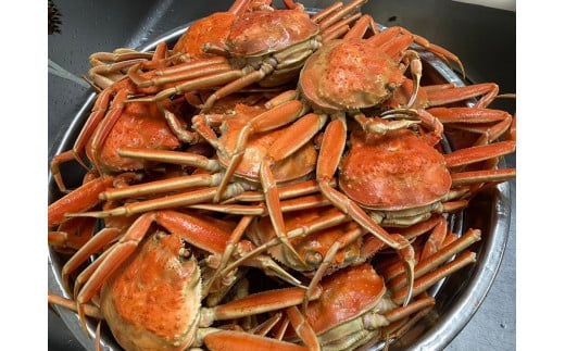 
            【レビューキャンペーン実施中】海から直接、あなたの食卓へ。 新鮮さが自慢の香箱ガニ（180〜200g×3杯）（特大）ボイル
          