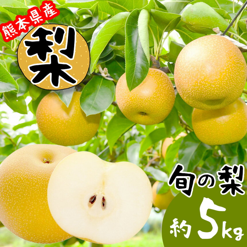 【ふるさと納税】旬 の 梨 5kg |果物 くだもの フルーツ 幸水 豊水 新高 あきづき 5キロ 玉名 熊本 秋 夏 旬 送料無料