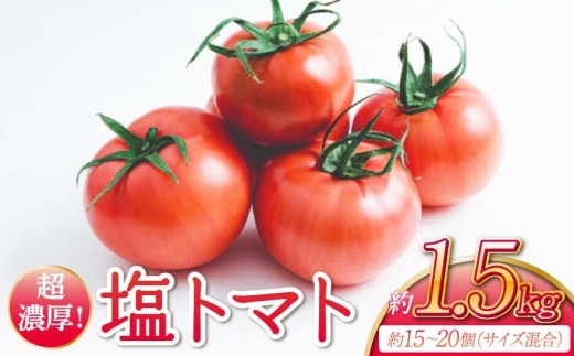 超濃厚! 宇城市産 塩トマト 約1.5kg （約15～20個サイズ混合）【2026年4月上旬〜6月中旬頃順次発送予定】【しんたのトマト農園】