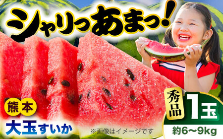 【2026年発送分先行予約 数量限定】大玉すいか 秀品 1玉 約6kg～9kg  スイカ[AYAT006]