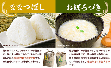 [2.6-48]　【令和7年産先行予約】　野口農園お米セット10kg「ななつぼし・おぼろづき」 《10月末頃から順次出荷》
