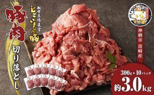 豚肉 切り落とし 約3kg (約300g×10パック) 豚 肉 じごいもの豚 茨城県 神栖市