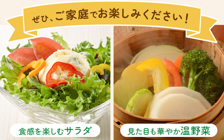 朝どれ 旬な野菜 果物セット 6種類セット【お届け対象月11月】　農薬・化学肥料不使用