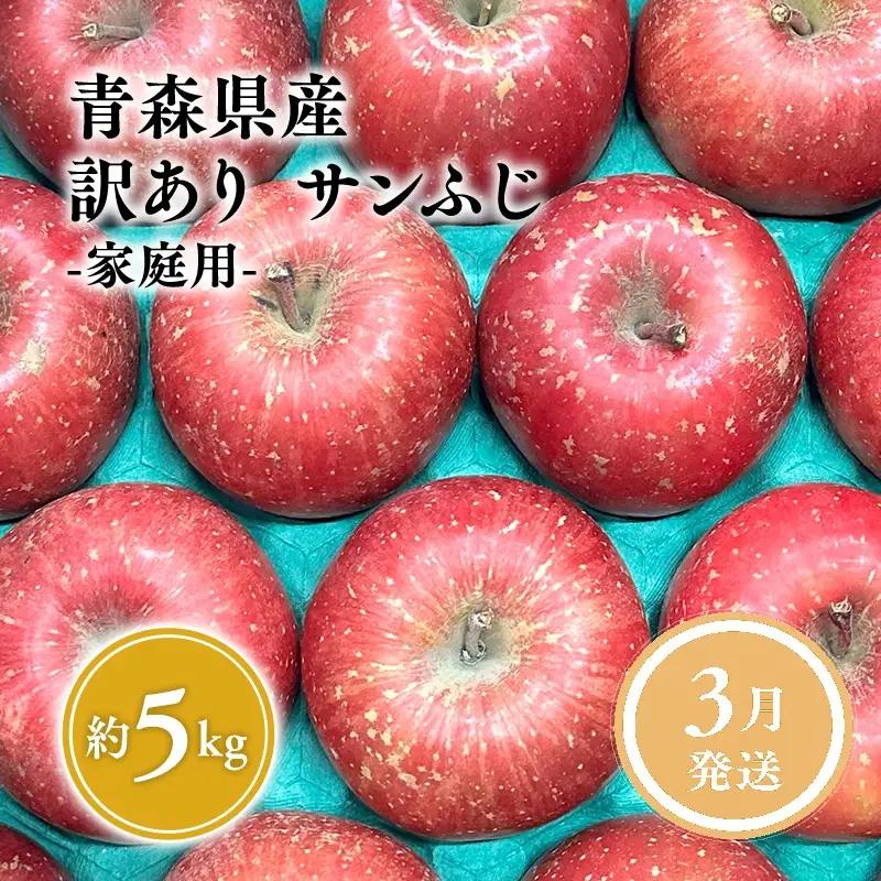 りんご サンふじ 家庭用 約5kg りんご