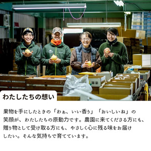 あたご梨 4～9玉 約4kg 化粧箱【先行予約 2025年11月中旬から順次発送】