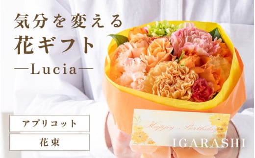 気分を変える花ギフト -Lucia- (花束・アプリコット) [aw062-a002_06]