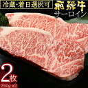 【ふるさと納税】 飛騨牛 サーロイン ステーキ（250g×2枚）冷蔵 A4 A5 霜降り 黒毛和牛 和牛 牛肉 肉 ステーキ用 日付指定 時間指定 y14-39 送料無料