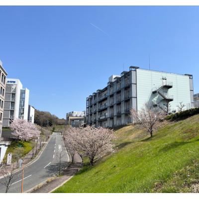 ふるさと納税 茨木市 Direct Alanine(D-アミノ酸・L-アミノ酸含有食品) 60スティック 2箱 |  | 03