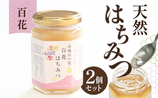 天然はちみつ 百花はちみつ 180g×２｜天然 生 生はちみつ はちみつ テロワール 地域性 花 国産 非加熱 甘い 天然 群馬県 前橋市