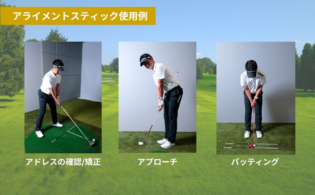 SPEEDER NX GOLD アライメントスティック 2本 ＋ 専用カバー付き