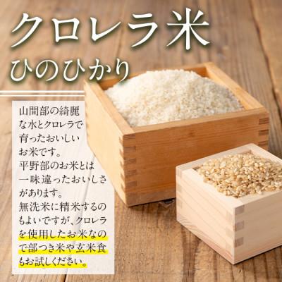 ふるさと納税 出水市 クロレラ米(ひのひかり)10kg_I872-A |  | 01