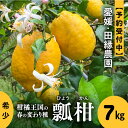 【ふるさと納税】【先行予約】【数量限定】田縁農園の瓢柑（生果）7kg ※2025年4月上旬～6月下旬頃に順次発送予定