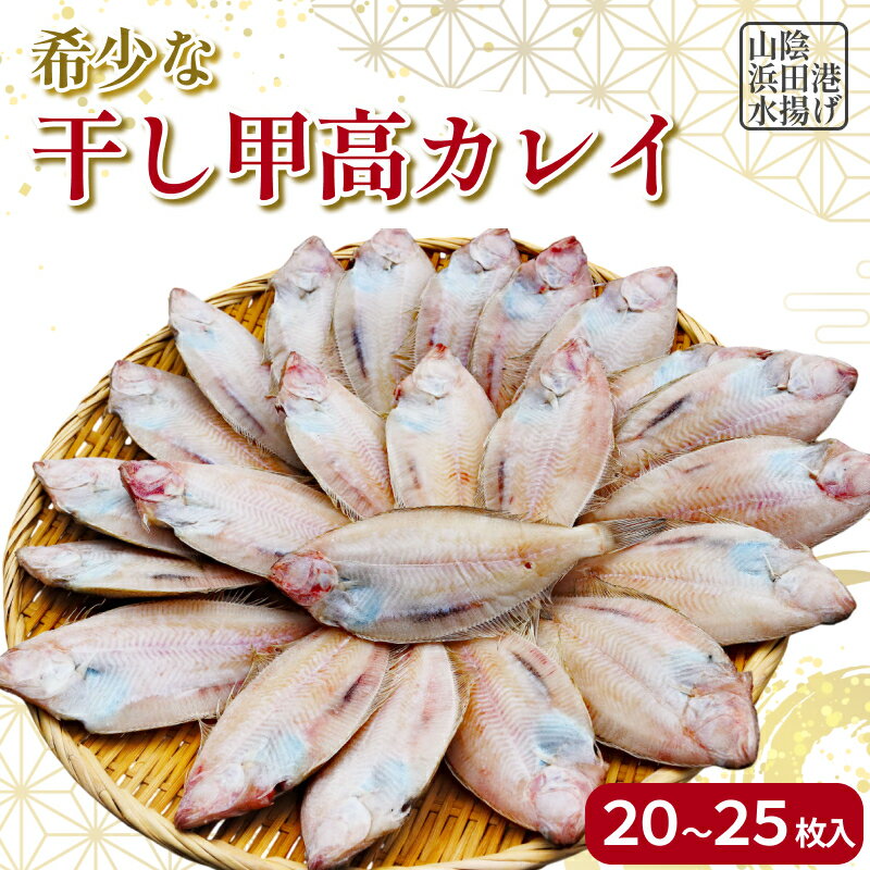 【ふるさと納税】【先行予約】山陰浜田港水揚げ　希少な干し甲高カレイ（卵入り）魚介 干物 一夜干し おつまみ おかず ふるさと納税 カレイ【019_1956】