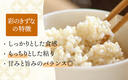 令和7年産【彩のきずな】玄米10kg 色彩選別済 Brown Rice - お米 ごはん