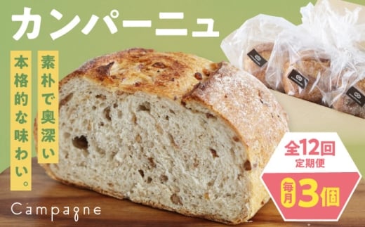 パン【全12回定期便】【冷凍】カンパーニュ3種セット (プレーン・いちじく・五穀) 冷凍パン 定期便 冷凍 ハードパン 食事パン 朝食 ベーカリー 食べ比べ フルーツ 果物 ドライいちじく 五穀 プレーン 全粒粉 トースト 軽食 酵母 美味しい おいしい 冷凍保存 カンパーニュ 詰め合わせ 人気 おすすめ お取り寄せ 町おこし 素材 厳選 食材 愛媛県大洲市/株式会社アライ  [AGAY053]