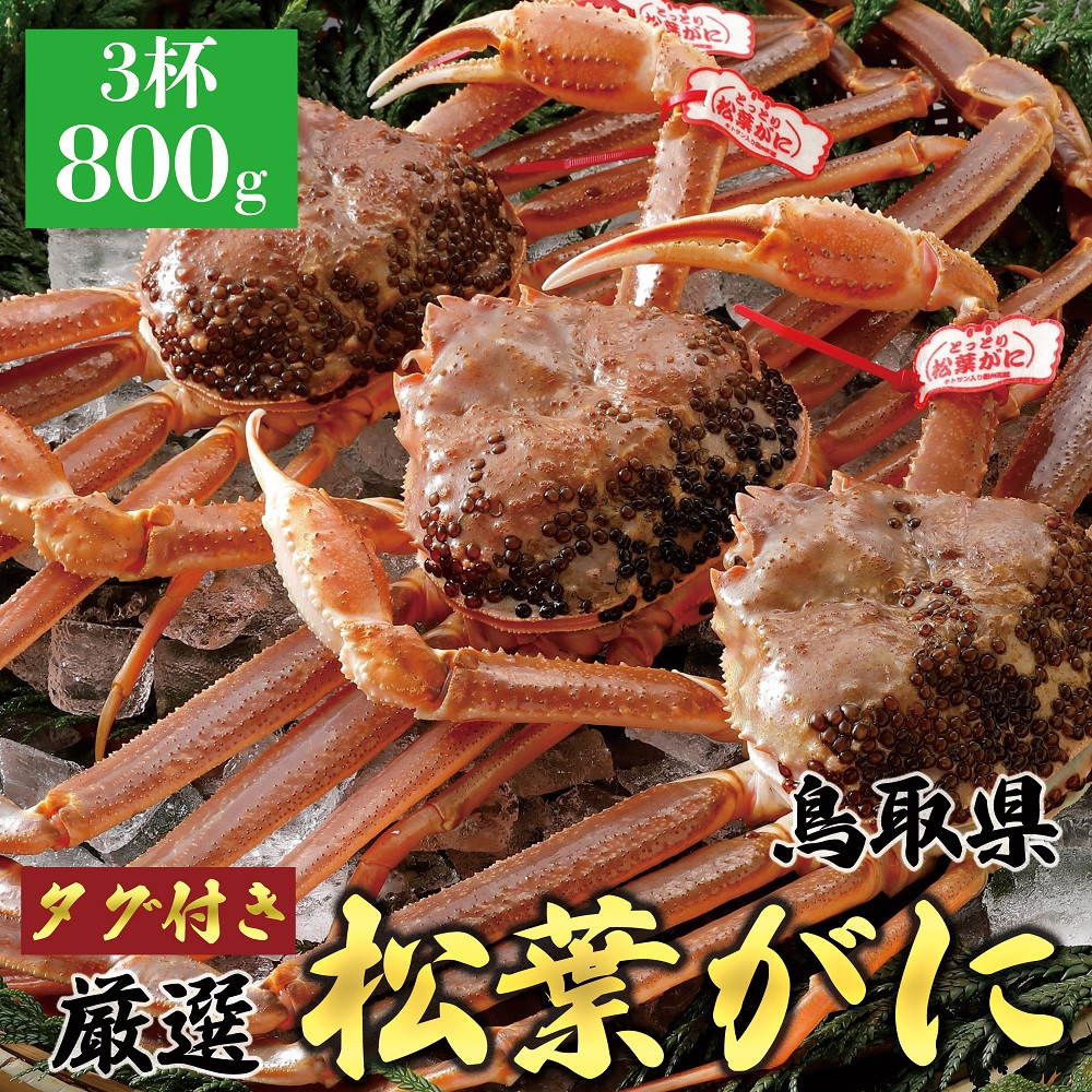 760.【活】≪2025年11月発送≫ 特撰 松葉がに【ブランドタグ付き】（800g超×3杯）