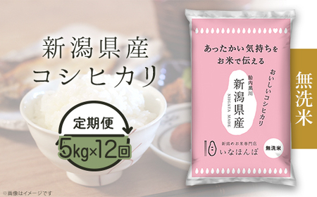 27-M5ZD【無洗米】新潟県産コシヒカリ5kg【12ヶ月連続お届け】