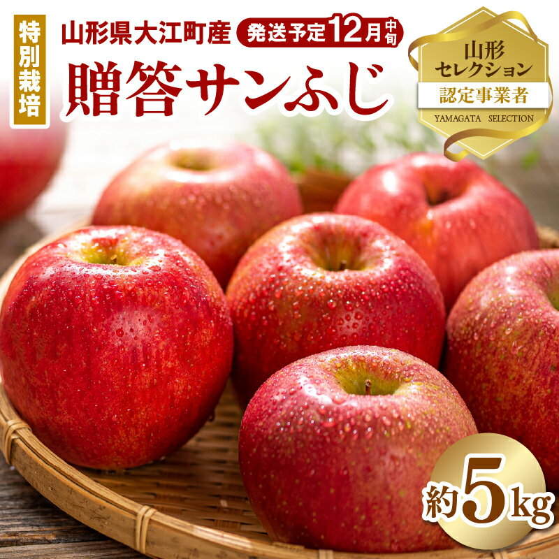 【ふるさと納税】《先行受付》特別栽培 贈答規格サンふじ約5kg 【2025年12月中旬頃～発送予定】糖度14度以上 山形セレクション認定品 山形りんご 鈴木果樹園 りんご リンゴ 林檎 果物 フルーツ 産地直送 プレゼント