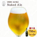 【ふるさと納税】自然酵母 瓶内熟成 Naked Ale 選べる本数 750ml×1本 または 750ml×2本 koti brewery《30日以内に出荷予定(土日祝除く》岡山県 備前市 ビール BEER 酒 飲料 送料無料