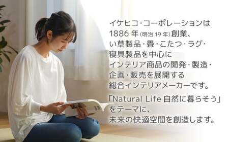 ウィルトンカーペット ネム 160×230ｃｍ ＢＫAA446