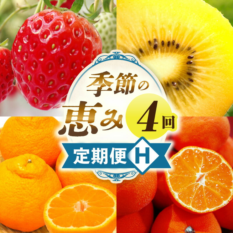 【ふるさと納税】季節の恵み4回定期便H 果物 フルーツ 青果 青果物 デザート スイーツ 果実 旬 季節 旬の果物 季節の果物 生鮮食品 生鮮 贈答 贈り物 ギフト プレゼント おすそ分け ご褒美 人気 グルメ お取り寄せ 特産品 特産 国産 香川県 三木町 レビューキャンペーン