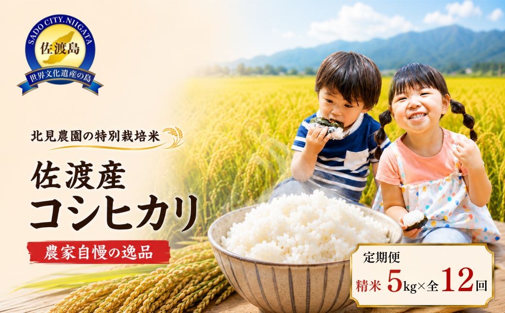 
                  【先行予約・限定】令和8年産　特別栽培米　佐渡産コシヒカリ　農家直送　朱鷺も棲む　北見農園自慢の逸品　定期便（精米5kg×12回コース）
                