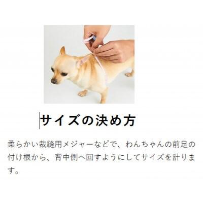 ふるさと納税 八潮市 メガネハーネス【3S+サイズ】フランボワーズ(本革製) kazama premium |  | 01