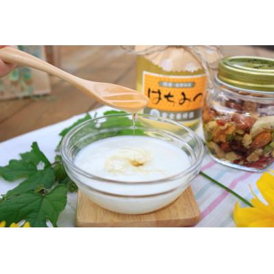 ふるさと納税 横手市 秋田県産自家採集　はちみつ　けんぽなし蜜　600g |  | 01