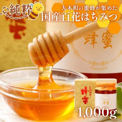 ふるさと納税 大木町 国産蜂蜜ギフト(白)　1,000g　CD01