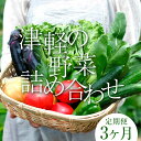 【ふるさと納税】津軽の季節の野菜詰め合わせセット 《定期便》【3ヶ月連続】 【中泊町特産物直売所ピュア】旬の野菜 旬野菜 旬 新鮮 食品 グルメ 詰め合わせ ファーマーズマーケット 甘い サラダ 国産 お取り寄せ 青森 F6N-098